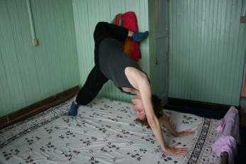 stretching dog