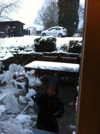 schneeball