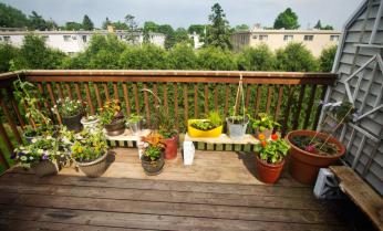 saint paul urban garden