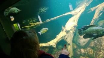 zoo1