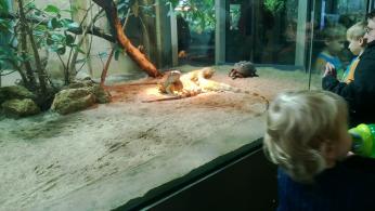 zoo3