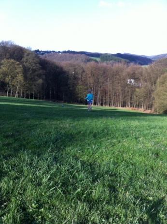 wiese