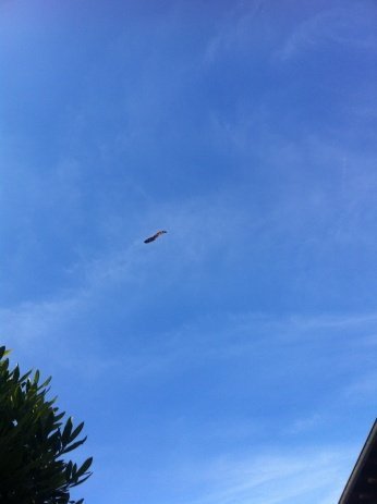img 4029