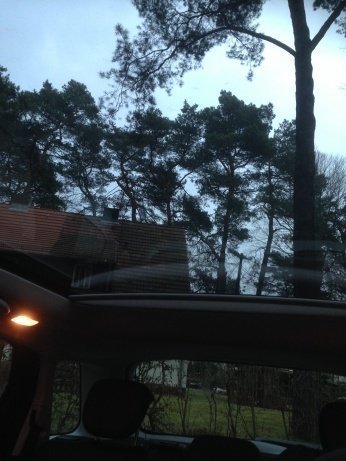 fiatdach