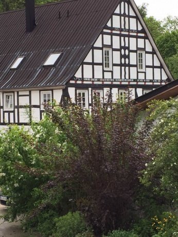 ponyhof4