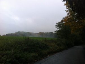 img 0994