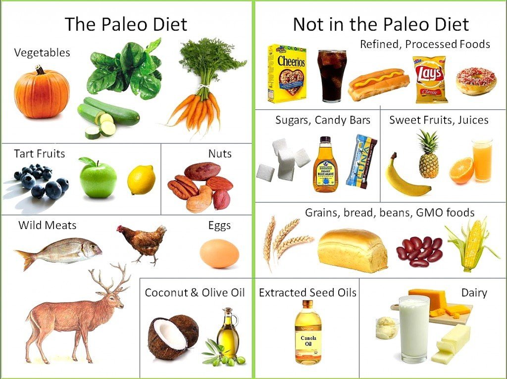 paleo1