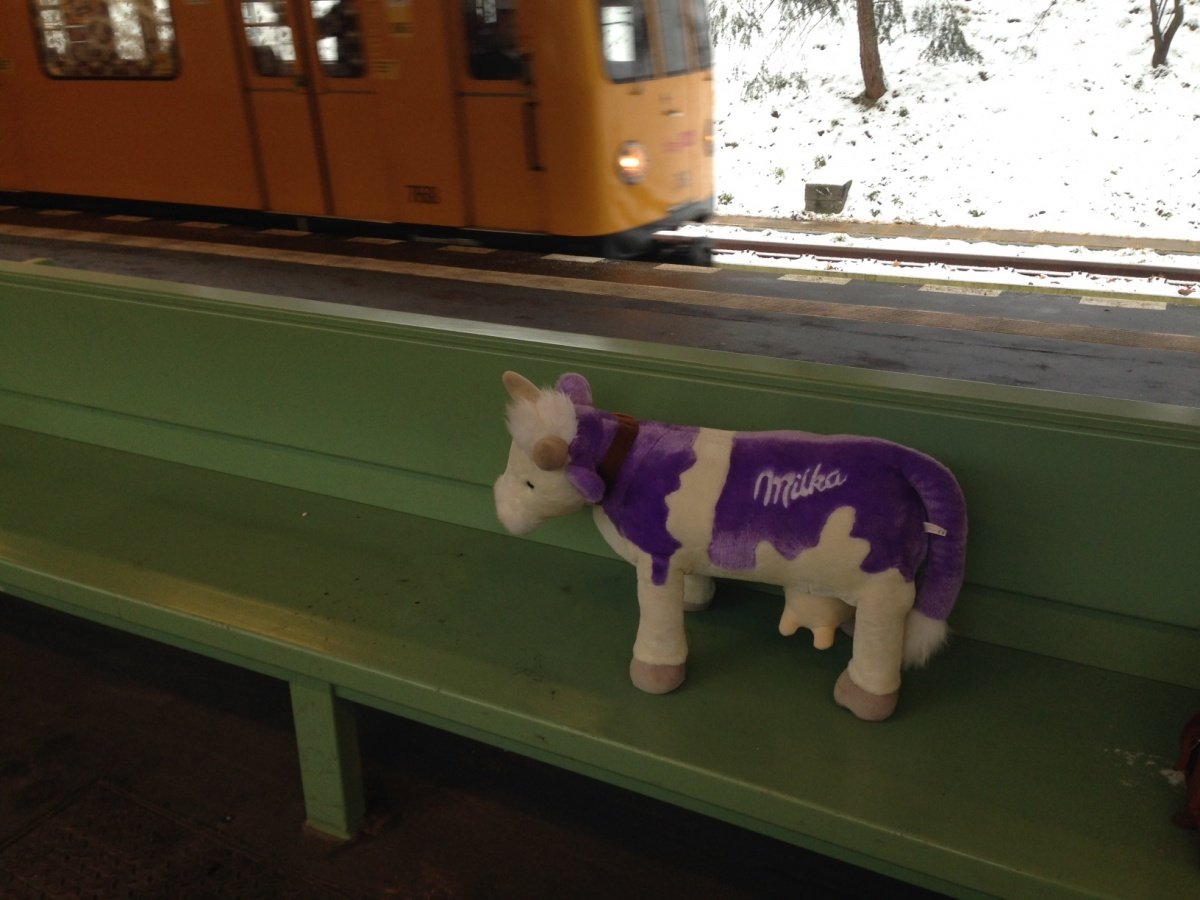 milka3