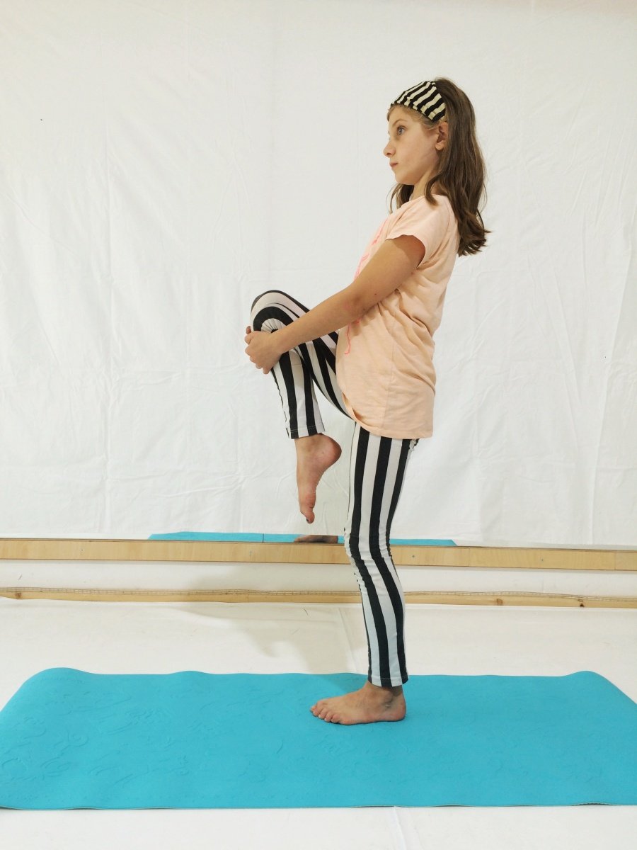 foto flamingo