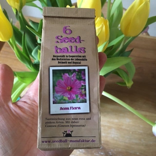 seed