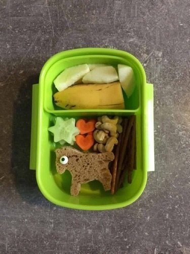 vegan1