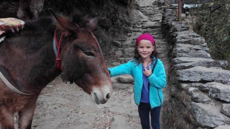 miriam mit esel