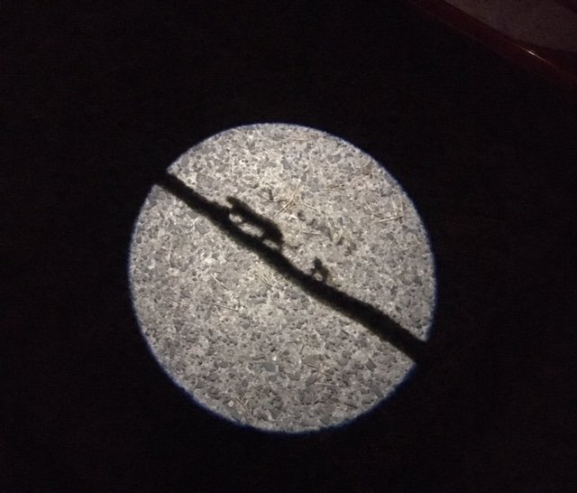 bat