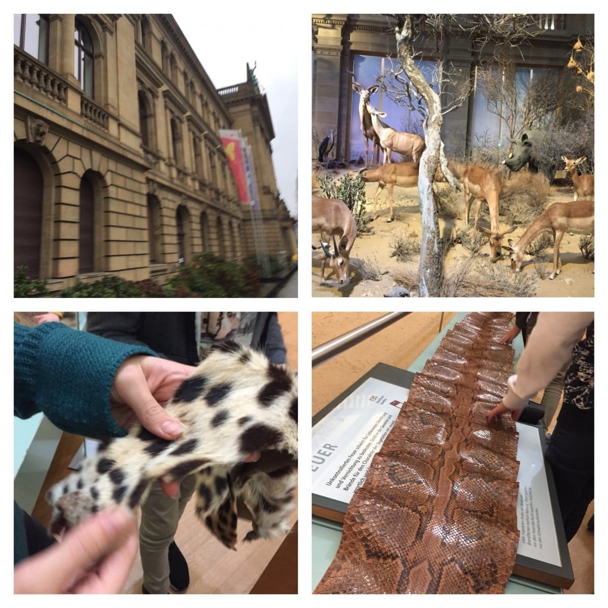 museum koenig mit kindern