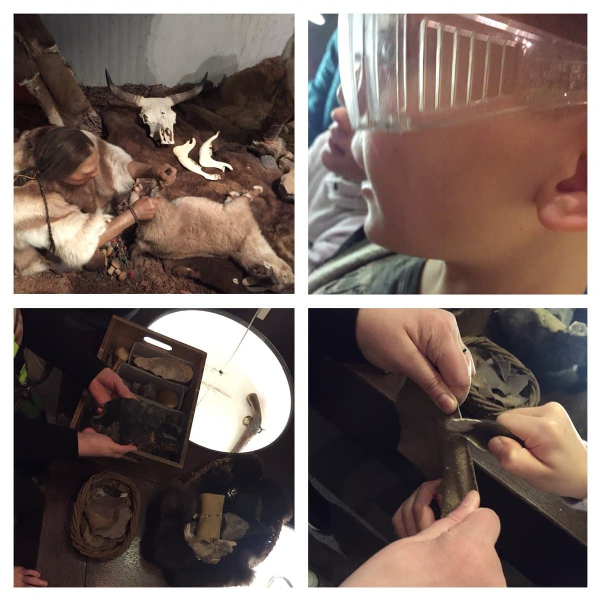 neandertalmuseum3