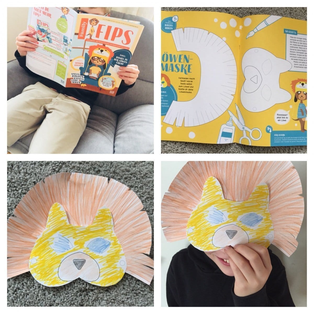 familyfips3