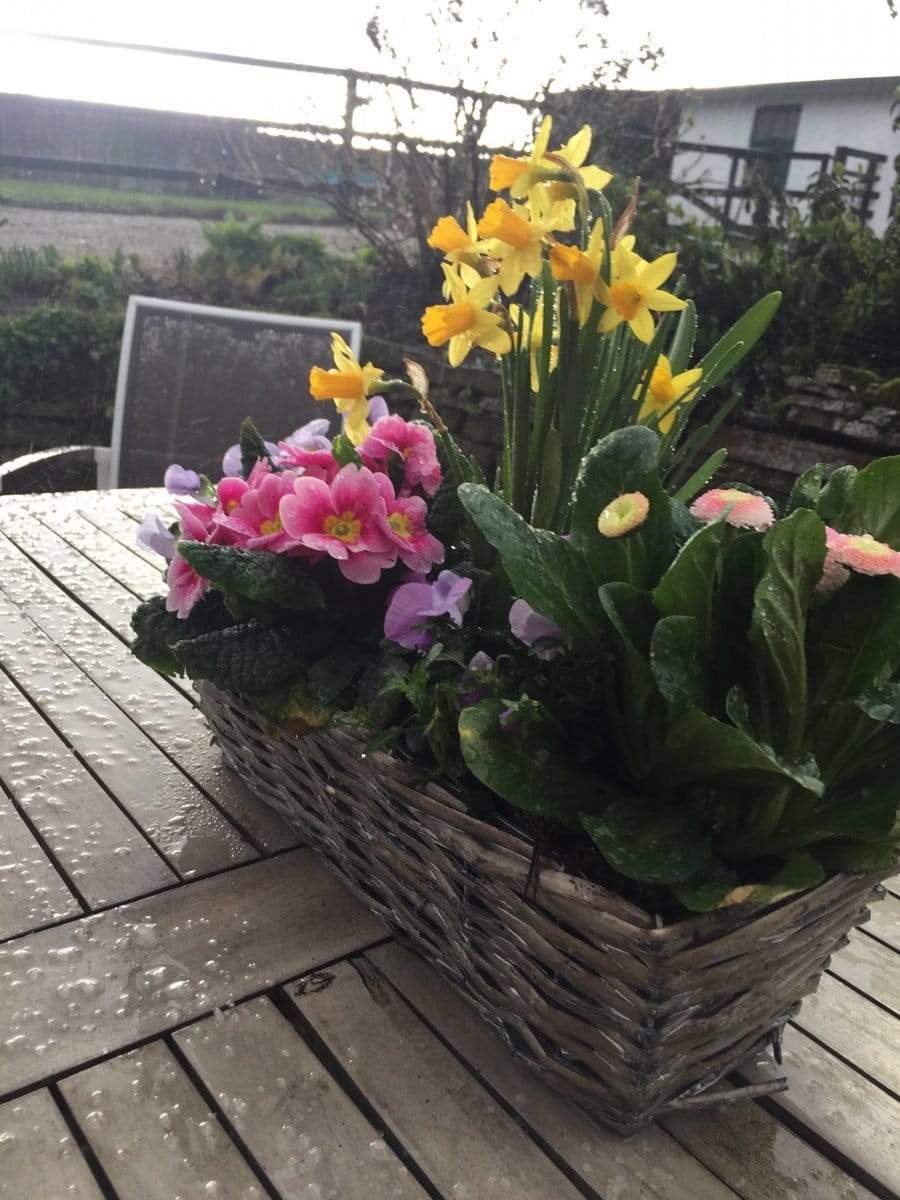 aprilwetter