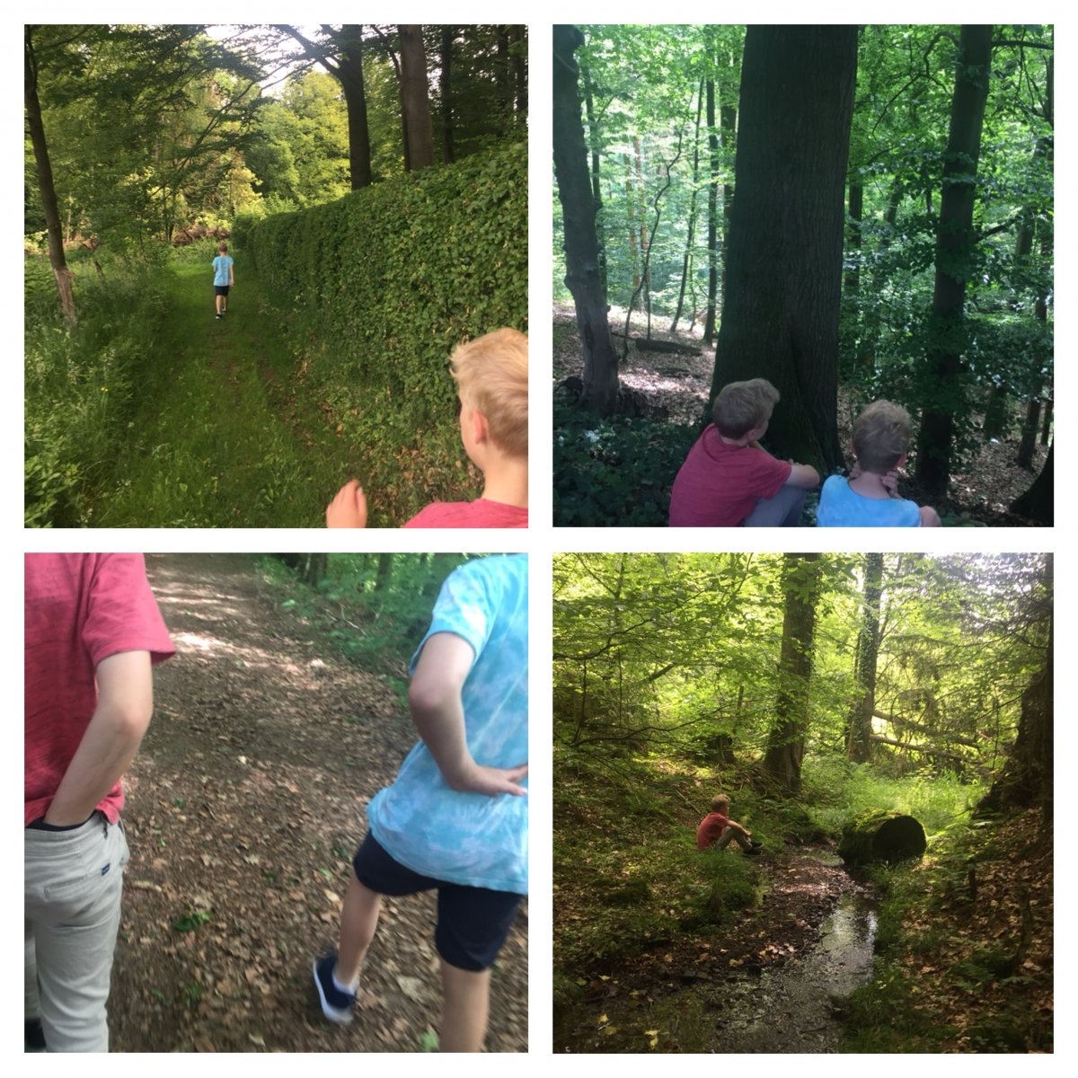 fruchtzwergewandern