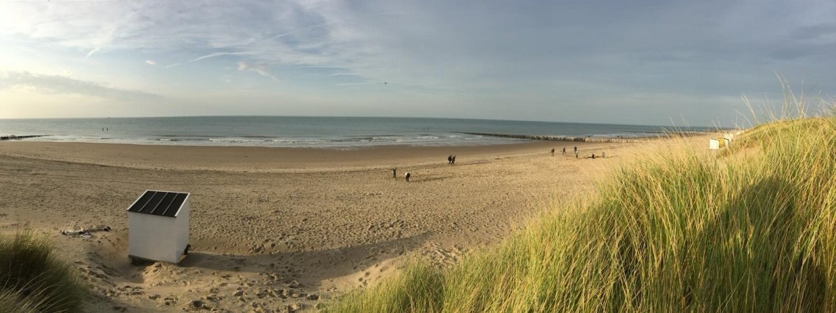 holland2
