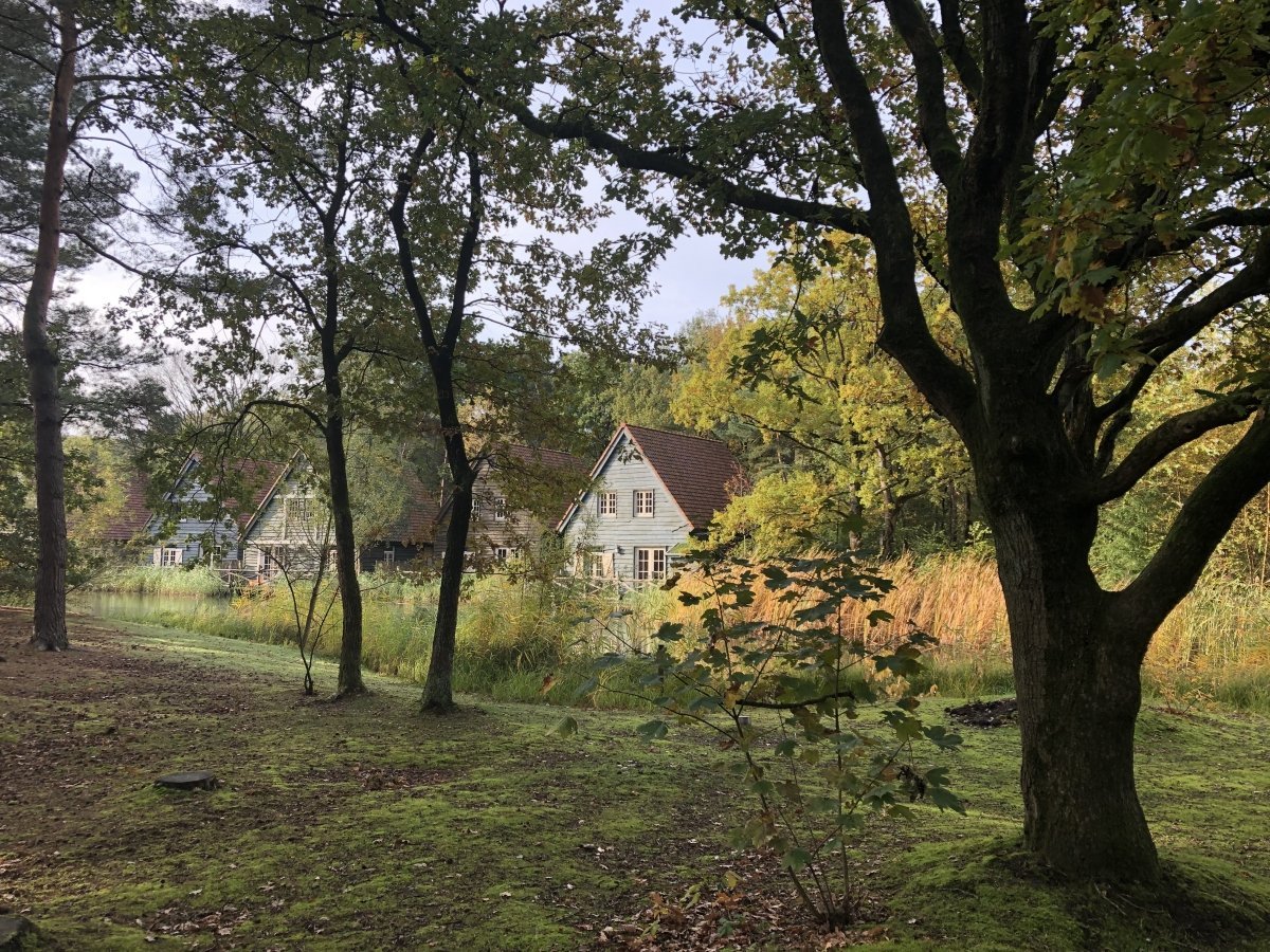 bosrijk1