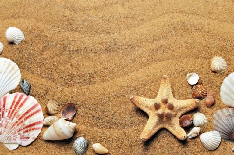 Urlaub Strand