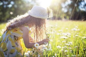 picking flowers 2432972 1280