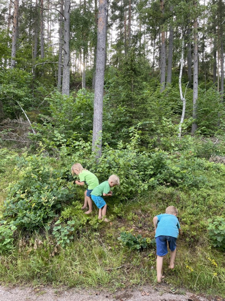 Hier erzählt Sunny von ihrem Auswandern nach Schweden - mit Mann und vier Jungs.
