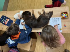 Assistenzhund