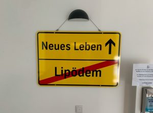 Lipöpdem