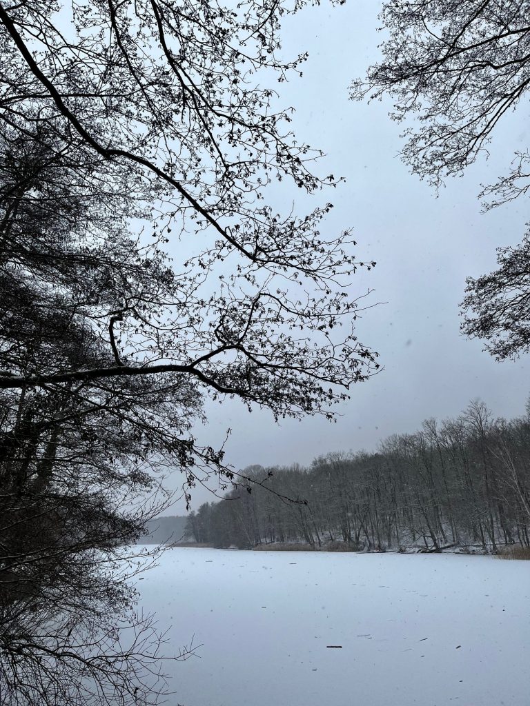 Schnee