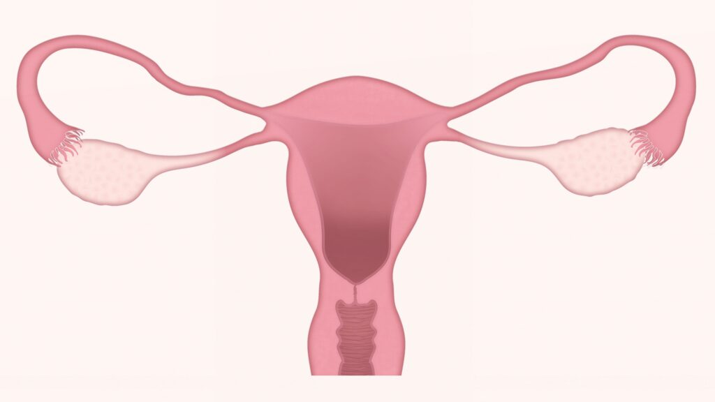 Menopause